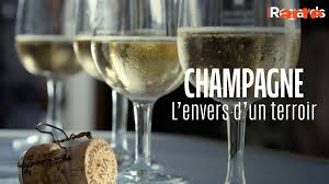 ARTE Regards - Champagne, l'envers d'un terroir